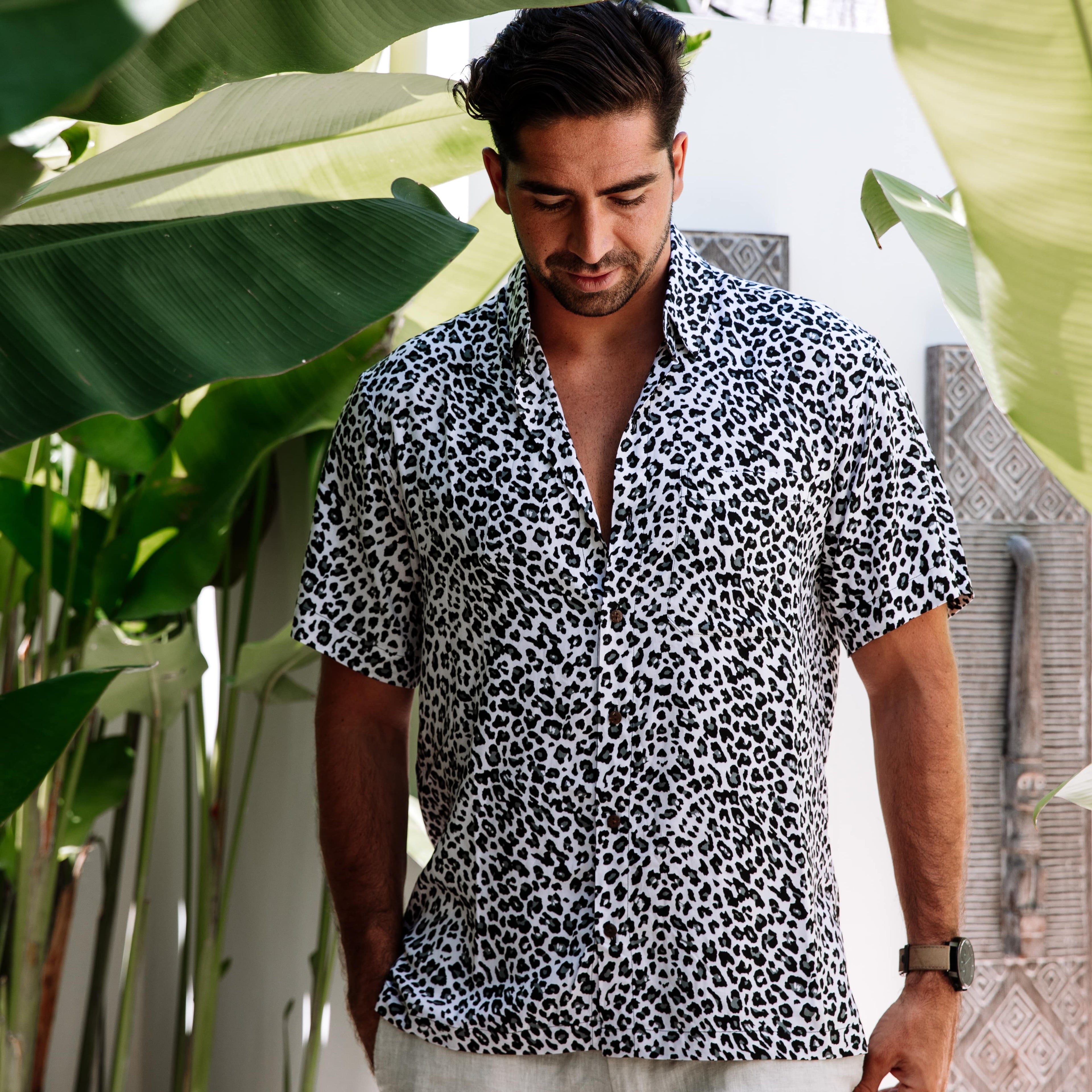 Short Sleeve Shirts