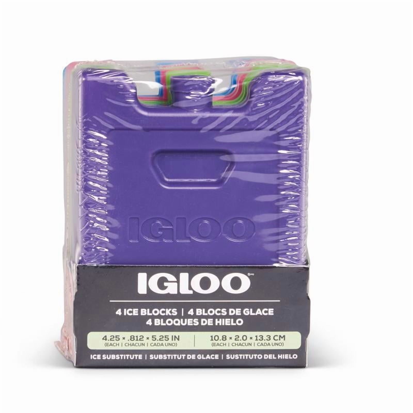 8090226 Ice Pack, Assorted Color - Pack of 4