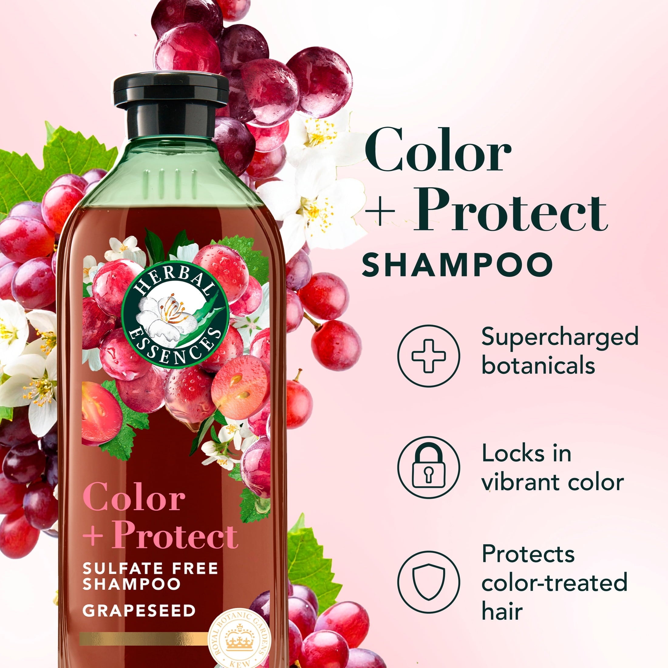 Color + Protect Grapeseed Sulfate Free Shampoo, 13.5 fl oz