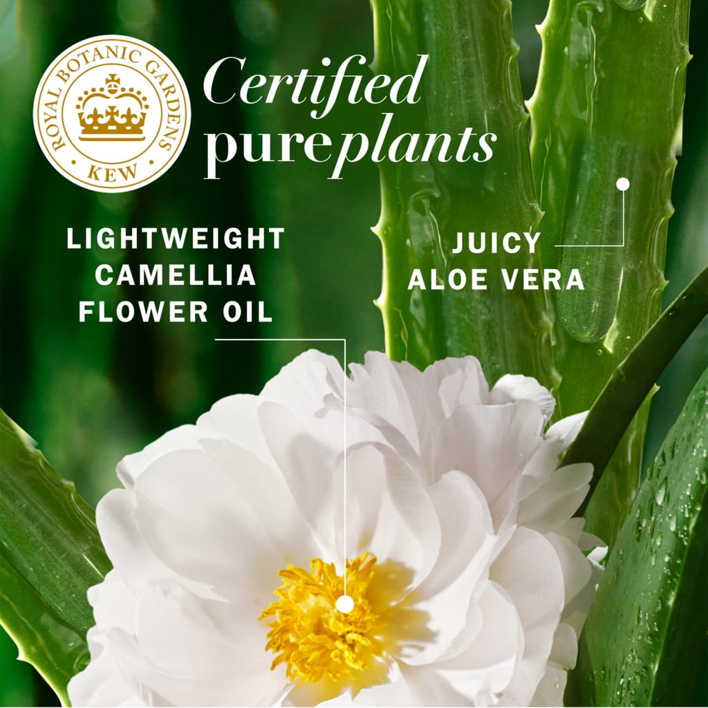 Leave in Conditioner, Aloe and Camellia Flower Oil, Certified Pure Plants, 7.6 fl oz