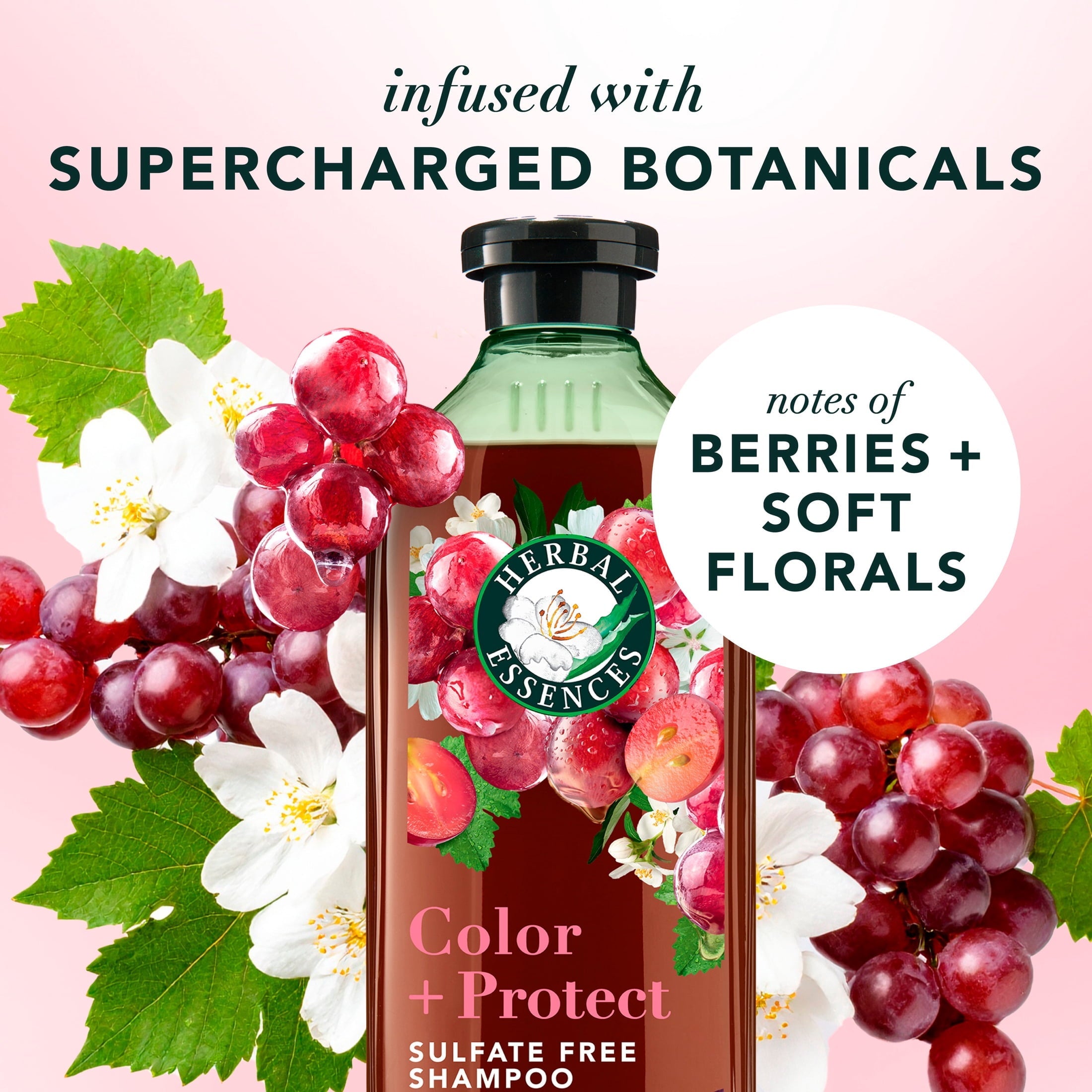 Color + Protect Grapeseed Sulfate Free Shampoo, 13.5 fl oz