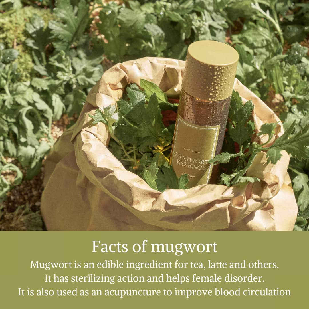 Mugwort Essence 5.4 Fl Oz | 100% Vegan Mugwort Extract - Soothe Sensitive and Irritated Skin, Redness Relief, Refreshing, Hydrating toner | All Skin Types, PETA approved