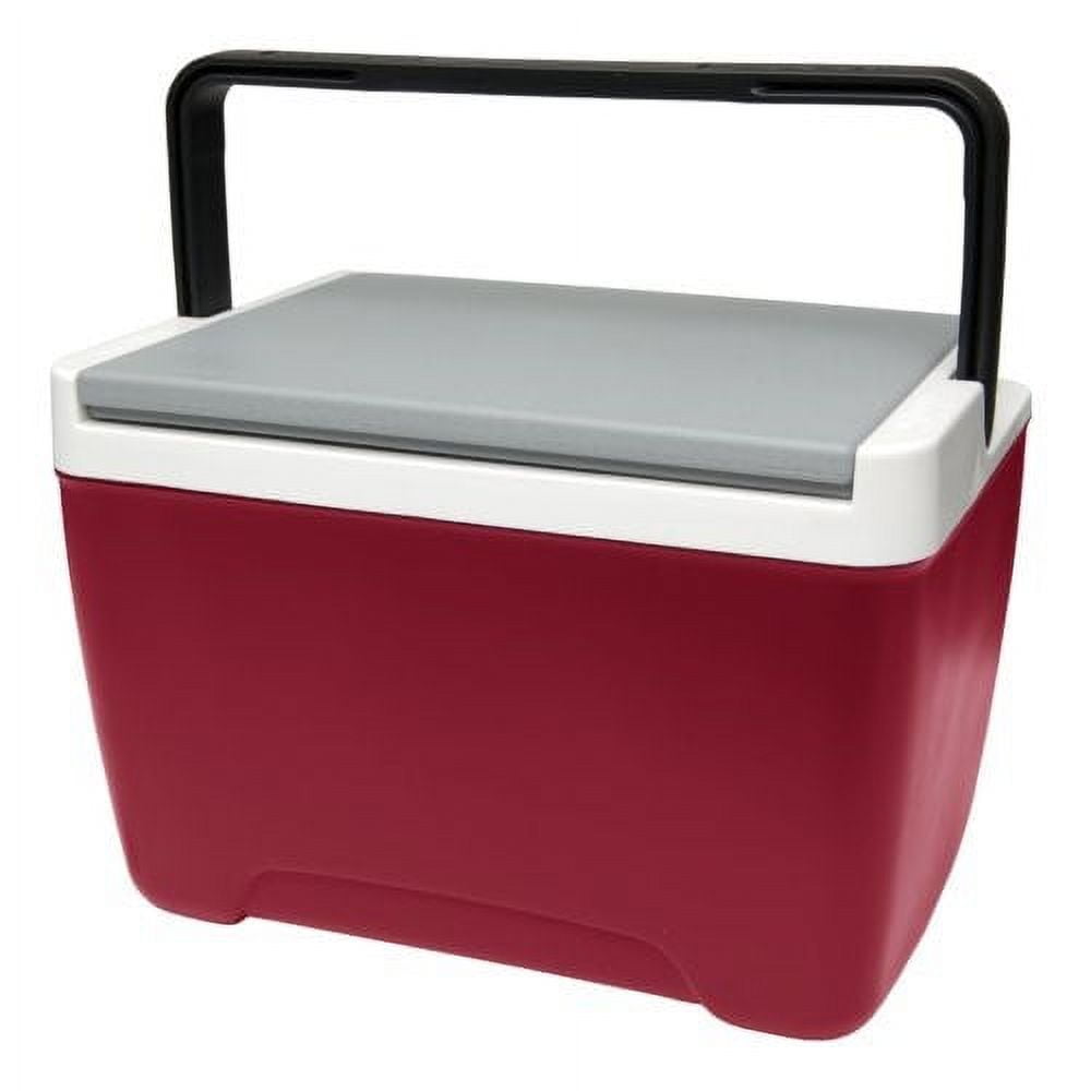 9-Quart Cooler