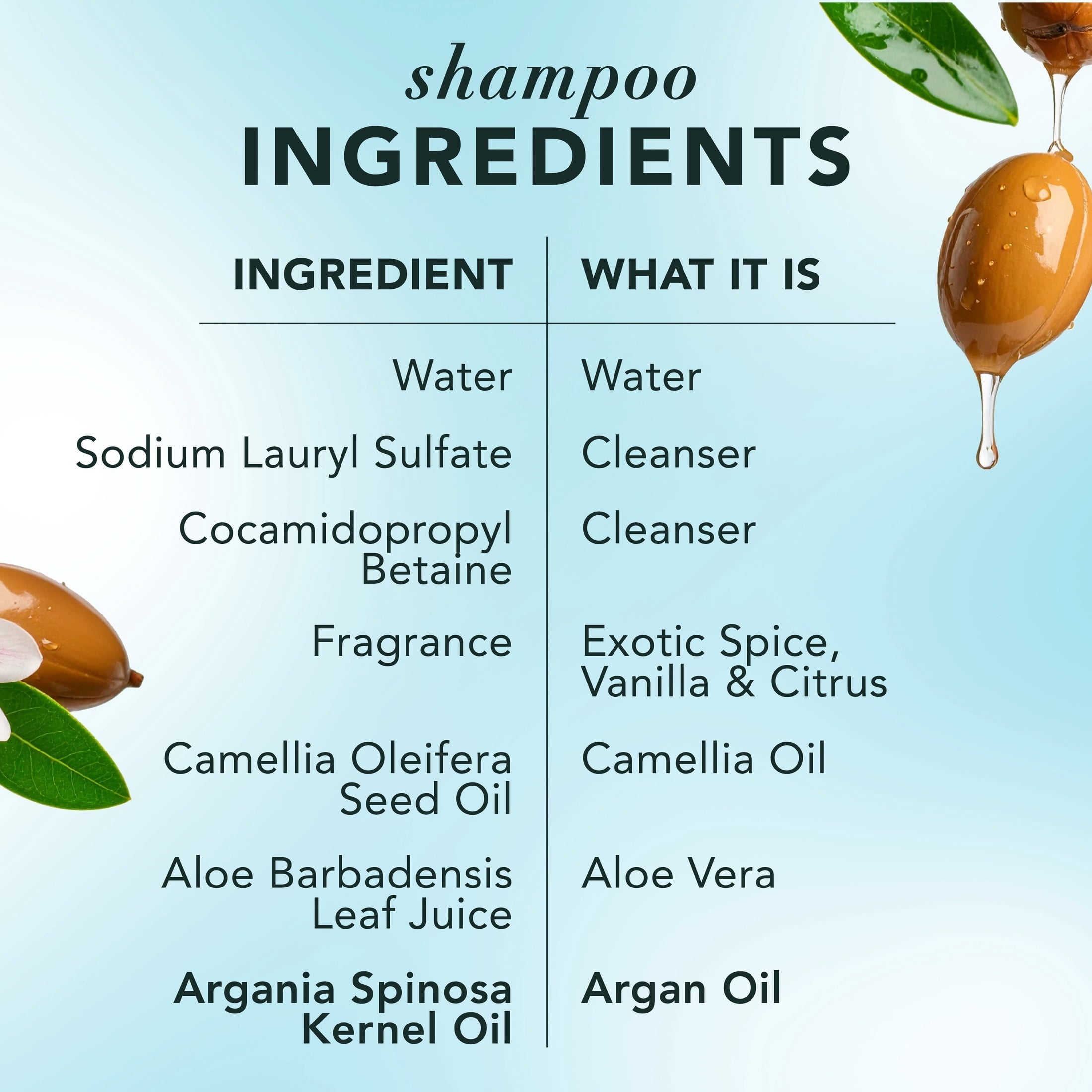 Argan Repair Shampoo and Conditioner, 13.5 fl oz Each