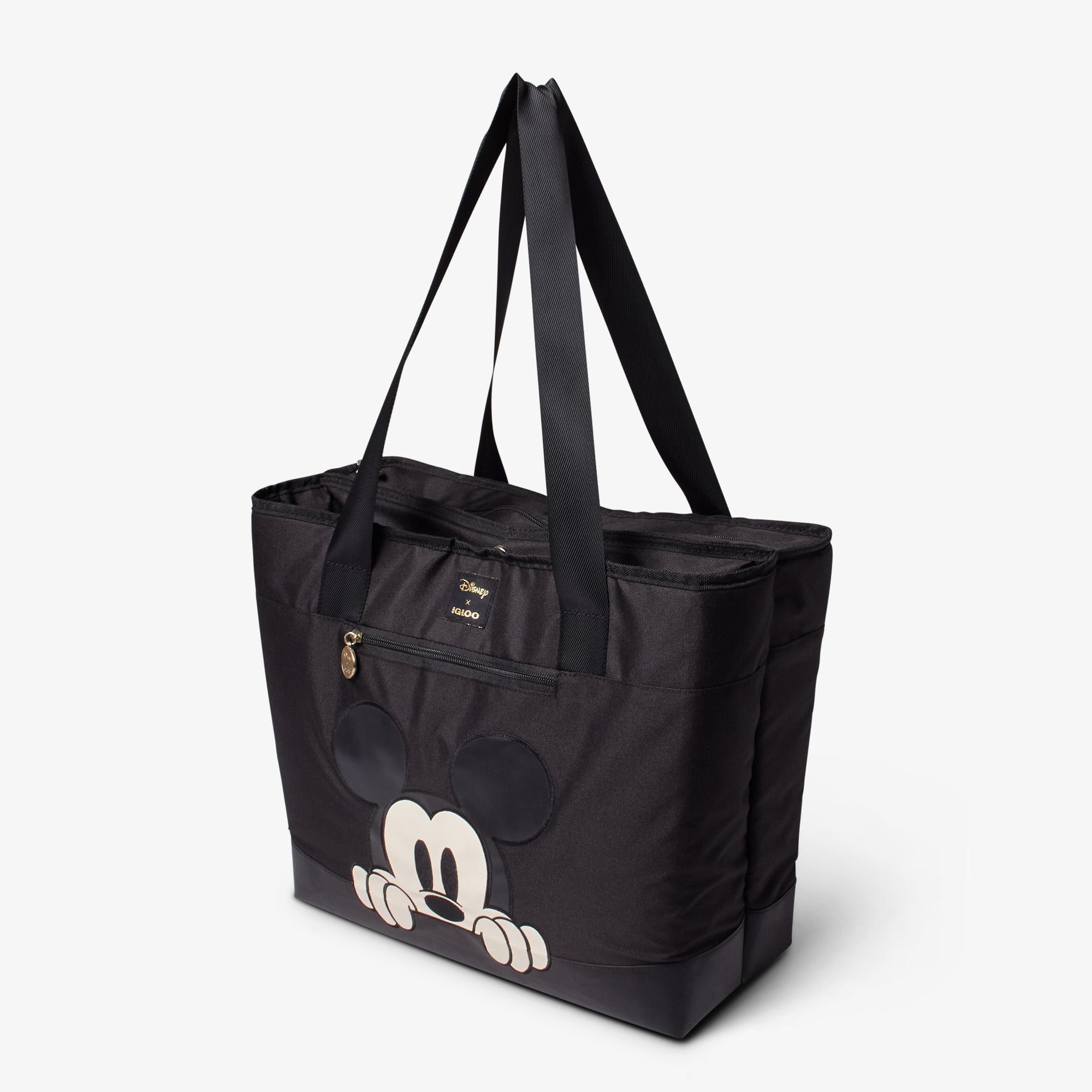 Dual Compartment Tote Cooler Bag