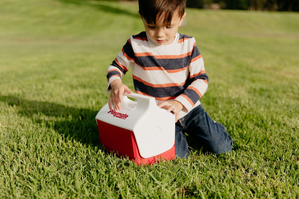 4 Qt. Playmate Mini Personal Lunch Box Cooler - Red