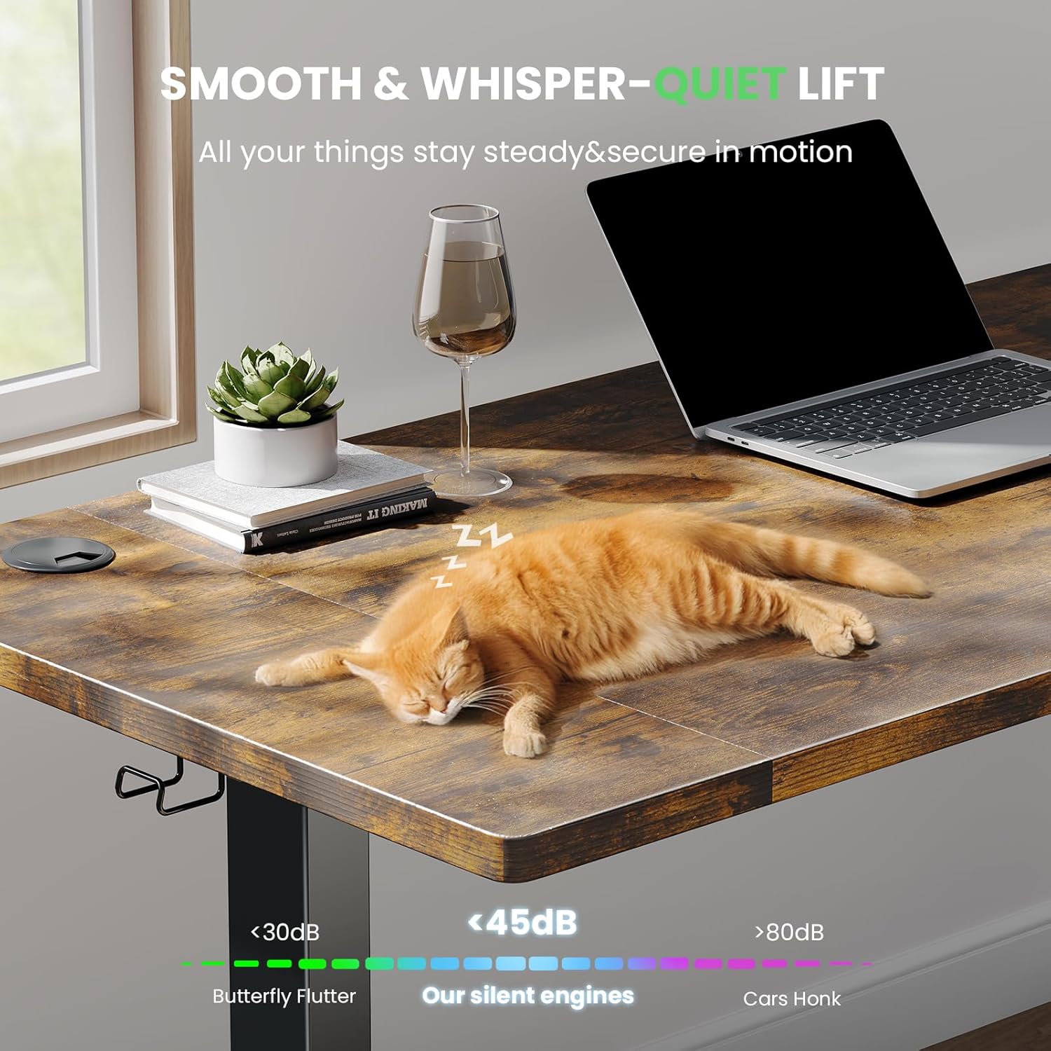 SIAGO Electric Standing Desk Adjustable - 48 x 24 Inch Sit Stand up Desk with 0.8 Inch Thick Tabletop - Adjustable Height Table with 3 Memory Preset, Cable Management for Home Office