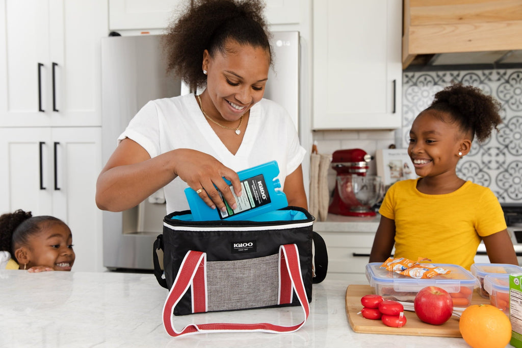 12 Can Capacity Heritage Lunch Companion Cooler Bag, Black and Red