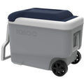 MaxCold 40 Qt. Roller Cooler, Ash Gray & Aegean Sea