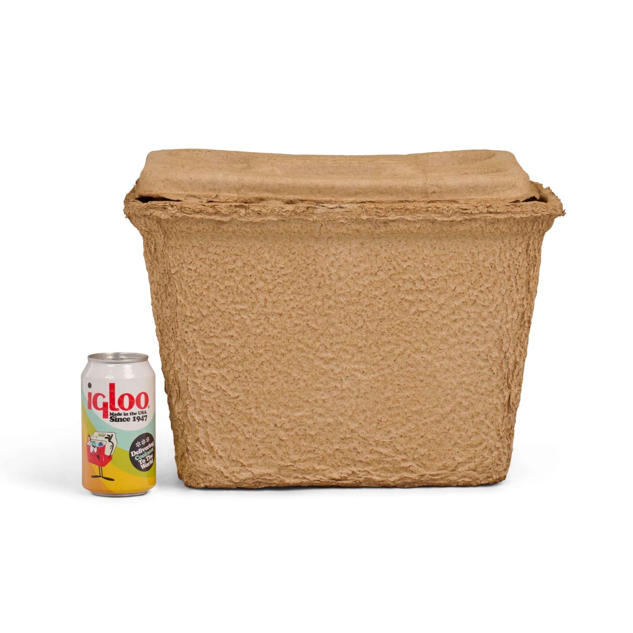 16 Qt. RECOOL Reusable Ice Chest Cooler