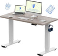 FLEXISPOT EN1 One-Piece Standing Desk with 1-Inch Thick Seamless Desktop, 48"x24" Electric Height Adjustable Desk for Home Office, Multi-Monitor Setups & Easy Assembly, Gray Wood