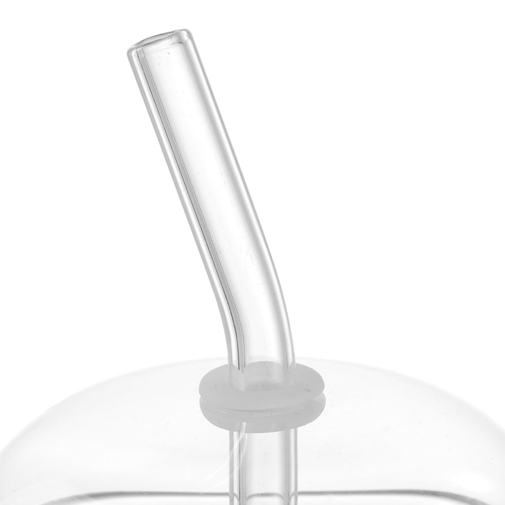 Better Homes & Gardens 16 oz Dome Lid Glass Tumbler, Clear