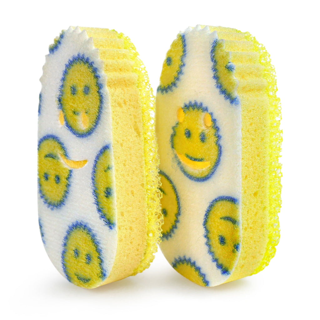 Dish Daddy Non-Scratch Scrub Dishwand Refills, 2 Count