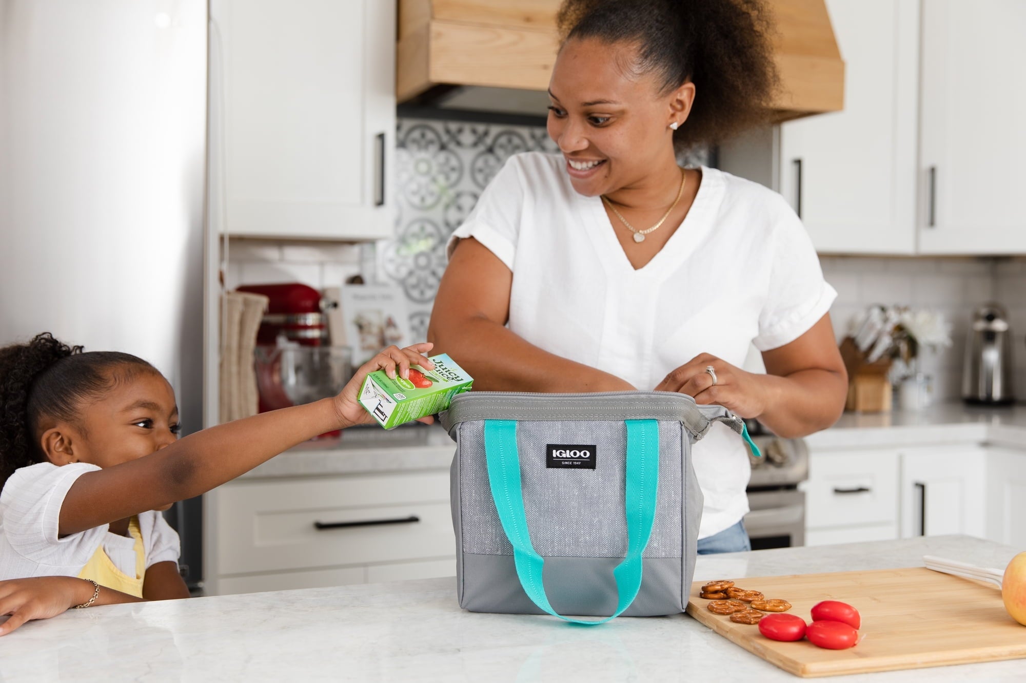 (2 pack) Igloo Leftover Tote Cooler Bag, 9 Can Capacity, Gray