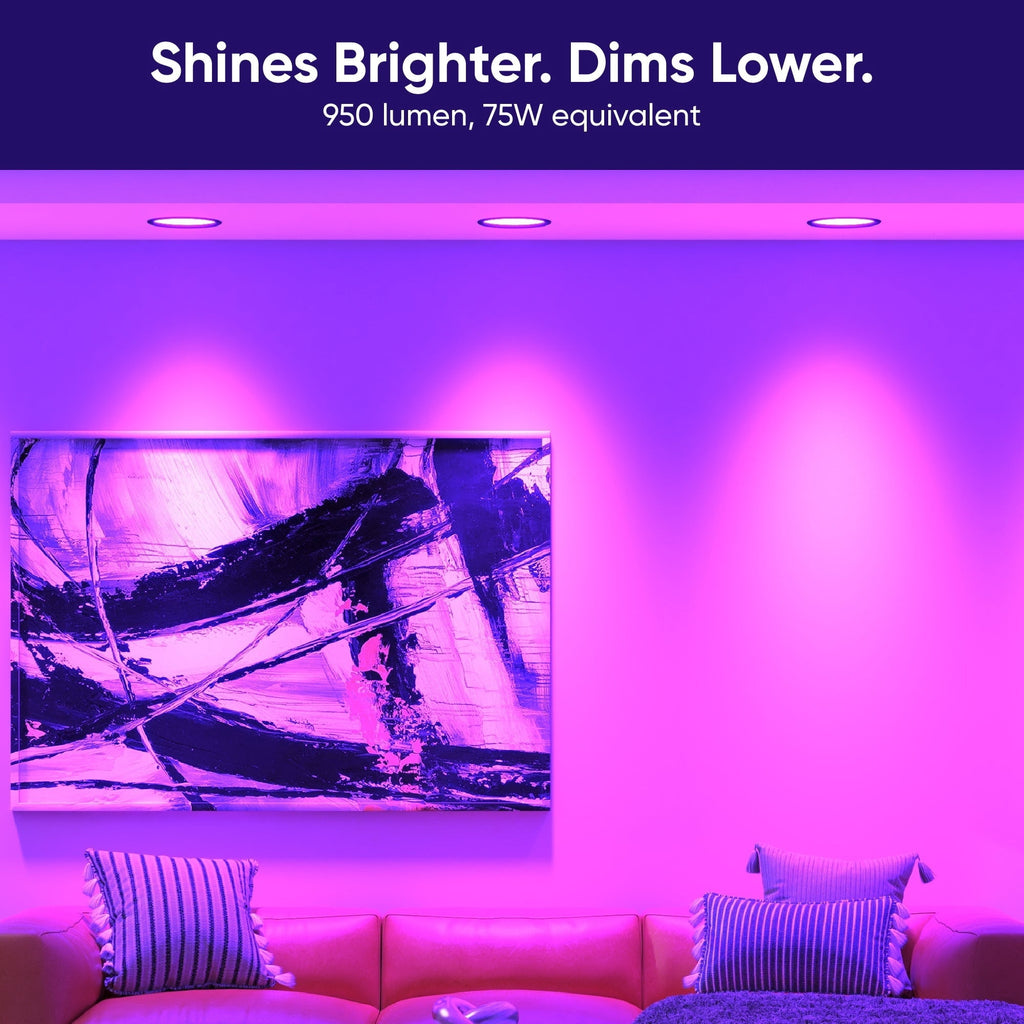 Bulb Color BR30 2-Pack