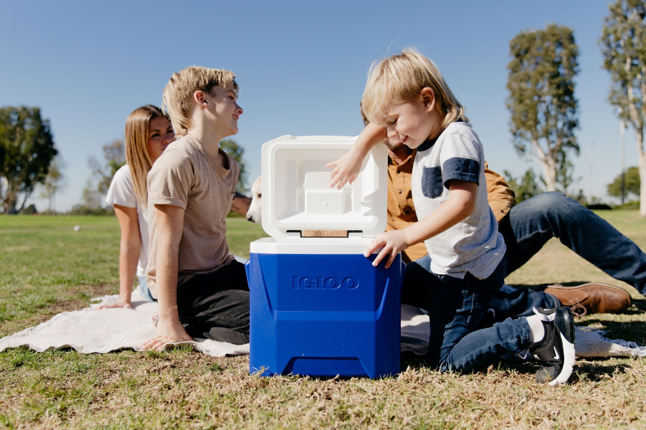 16 QT Laguna Hard Sided Ice Chest Cooler with Wheels, Aqua Blue