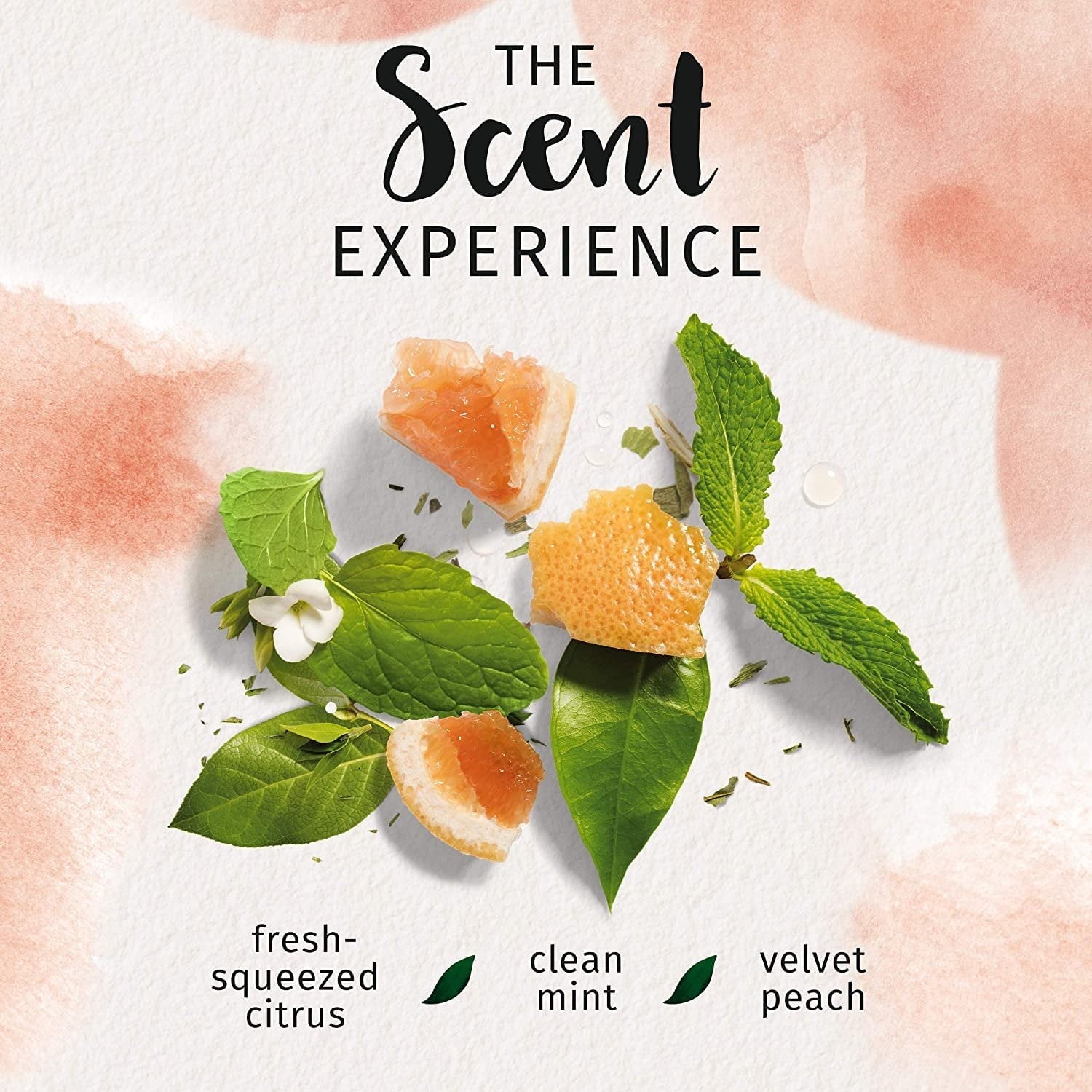 Conditioner 0%, White Grapefruit & Mosa Mint, 13.5oz