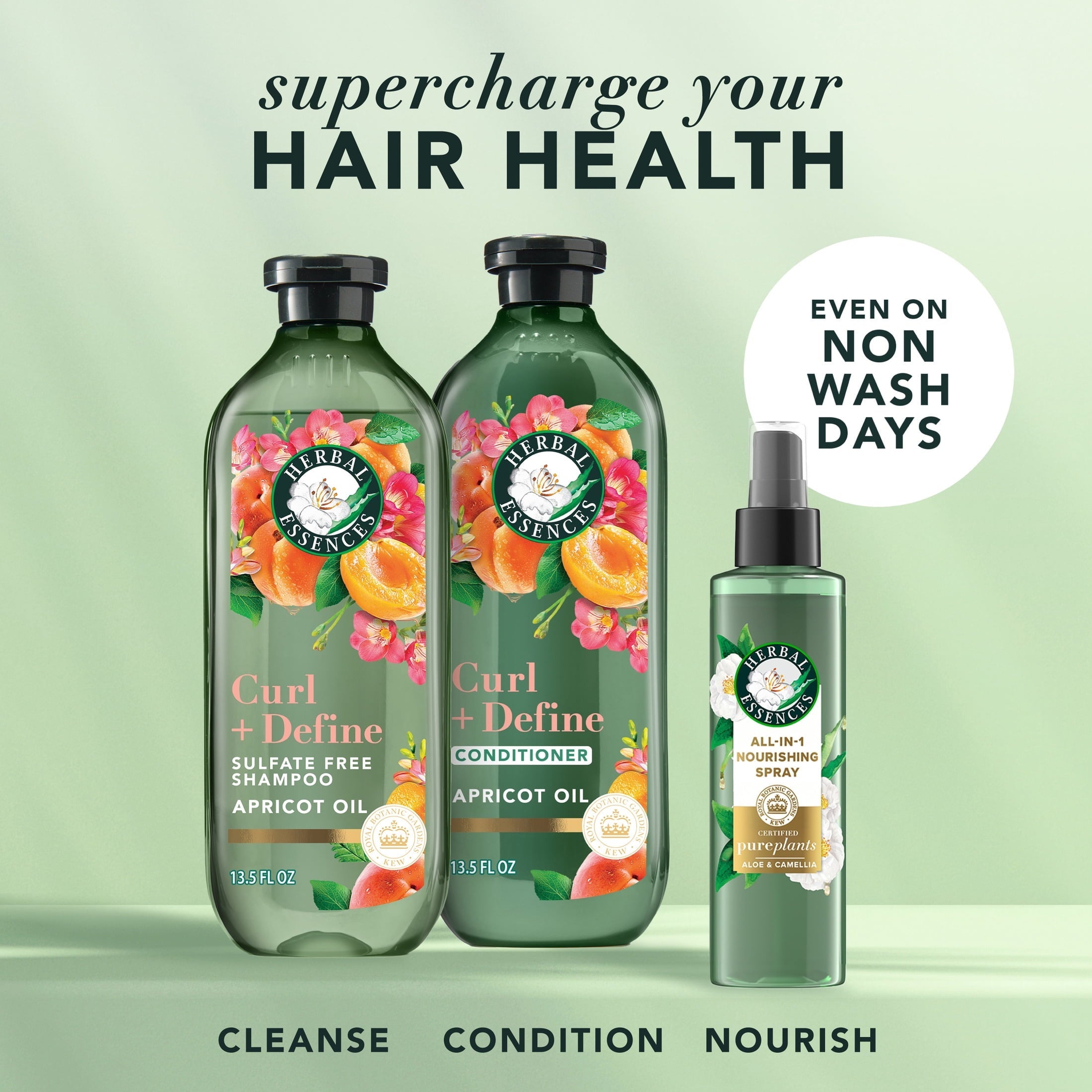 Curl + Define Apricot Sulfate-Free Shampoo, 13.5 fl oz