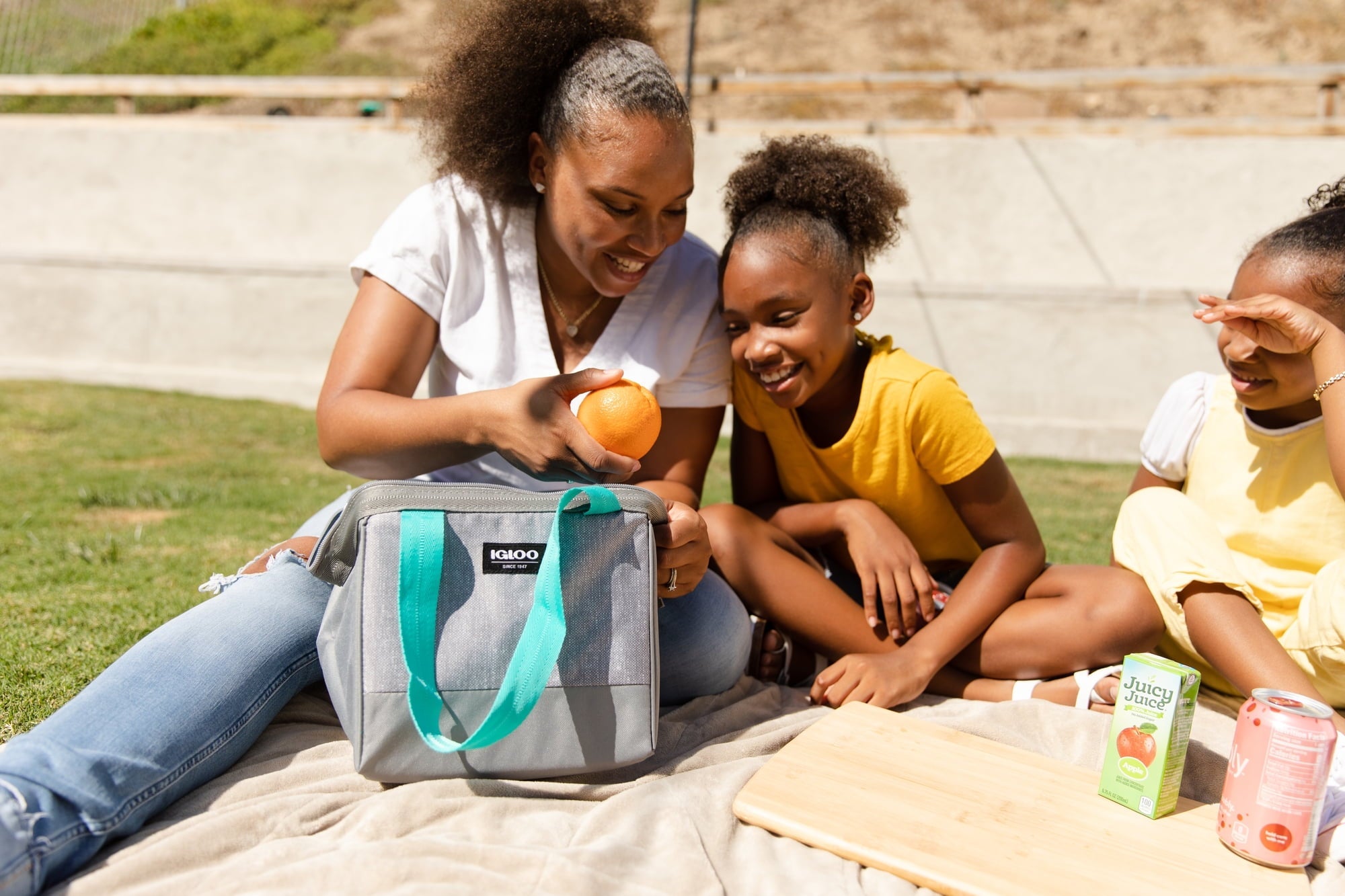 (2 pack) Igloo Leftover Tote Cooler Bag, 9 Can Capacity, Gray