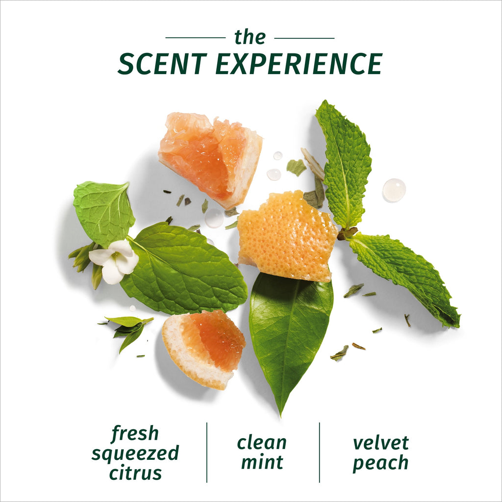 Bio:renew Volume Shampoo, White Grapefruit & Mosa Mint, 2 Pk, 13.5 Fl Oz