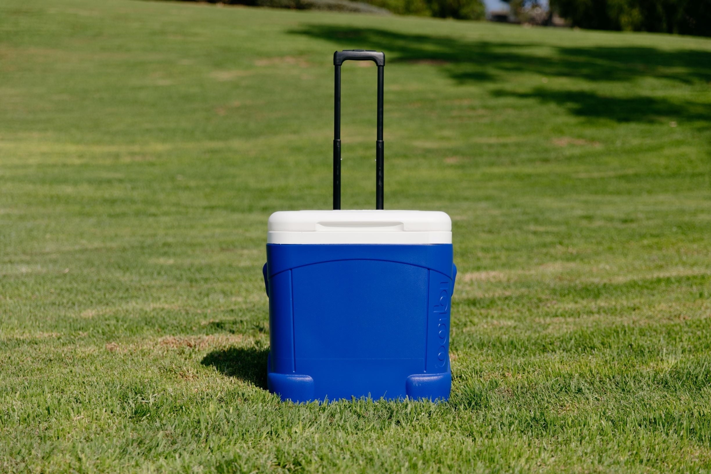 60-Quart Ice Cube Roller Cooler