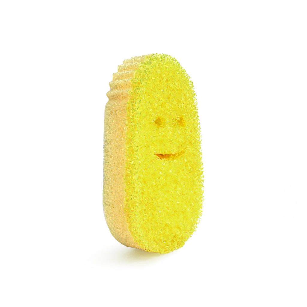 Dish Daddy Refill 2pk Sponge - 2 Ct, Flextexture Foam