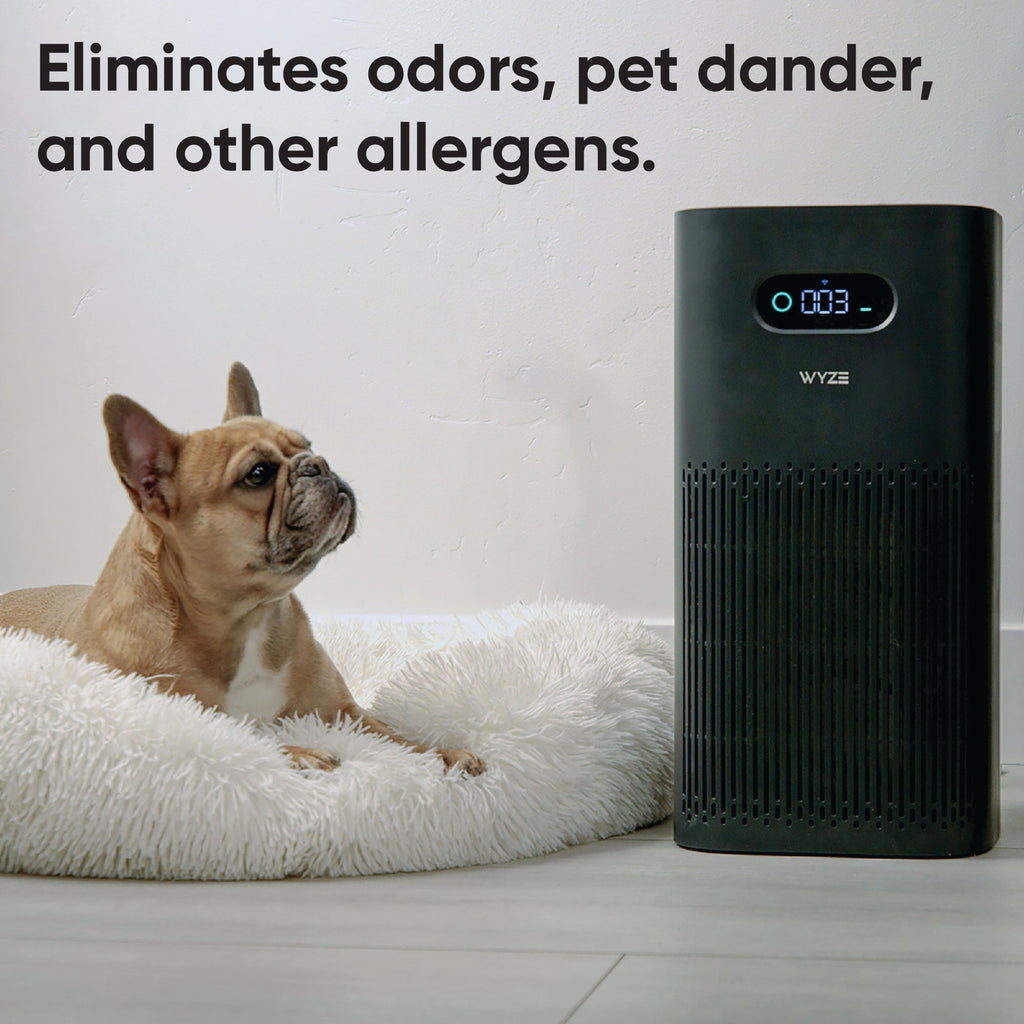 Air Purifier Allergen Filter Standard WSAPUR - Black