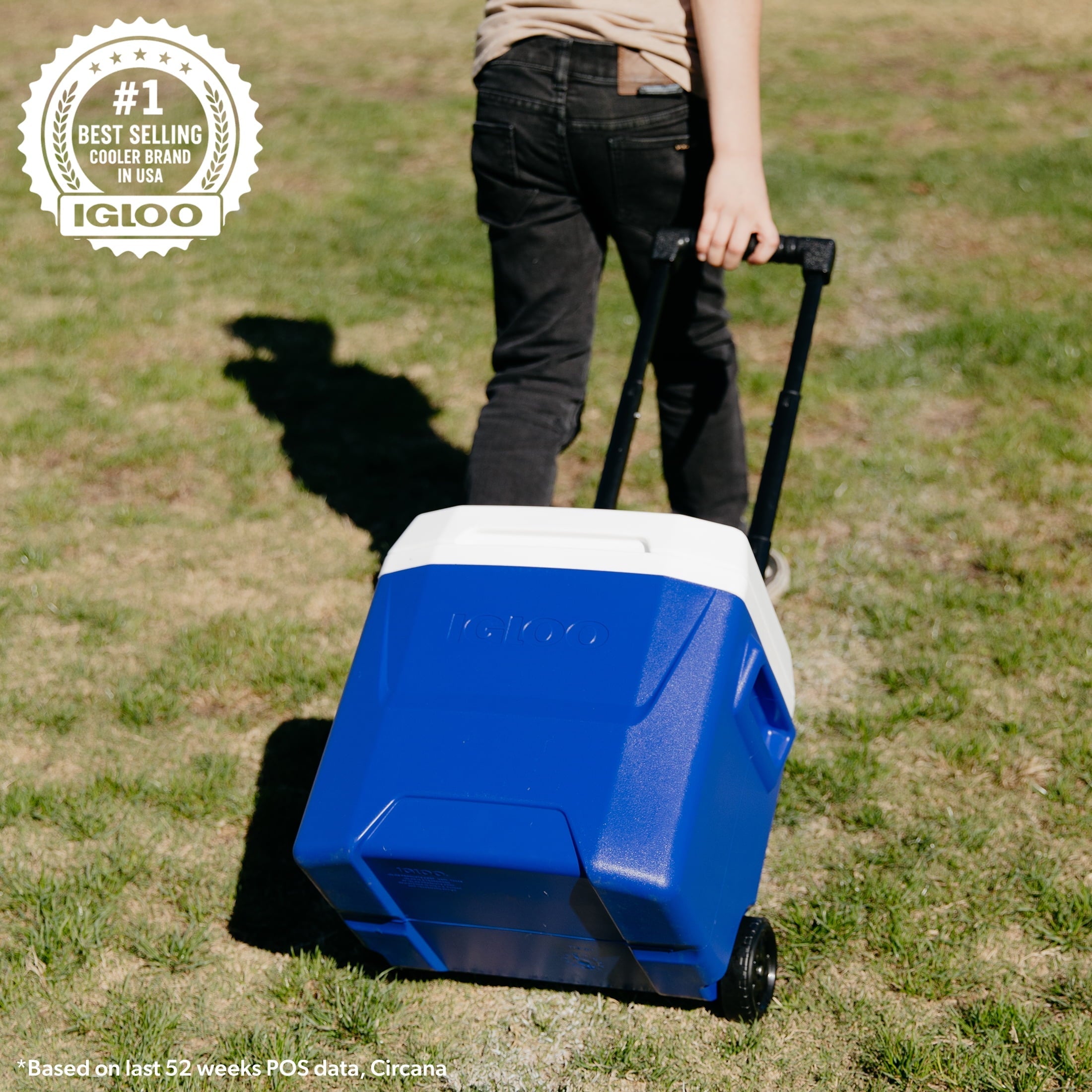 (2 pack) Igloo 16 QT Laguna Ice Chest Cooler with Wheels, Blue