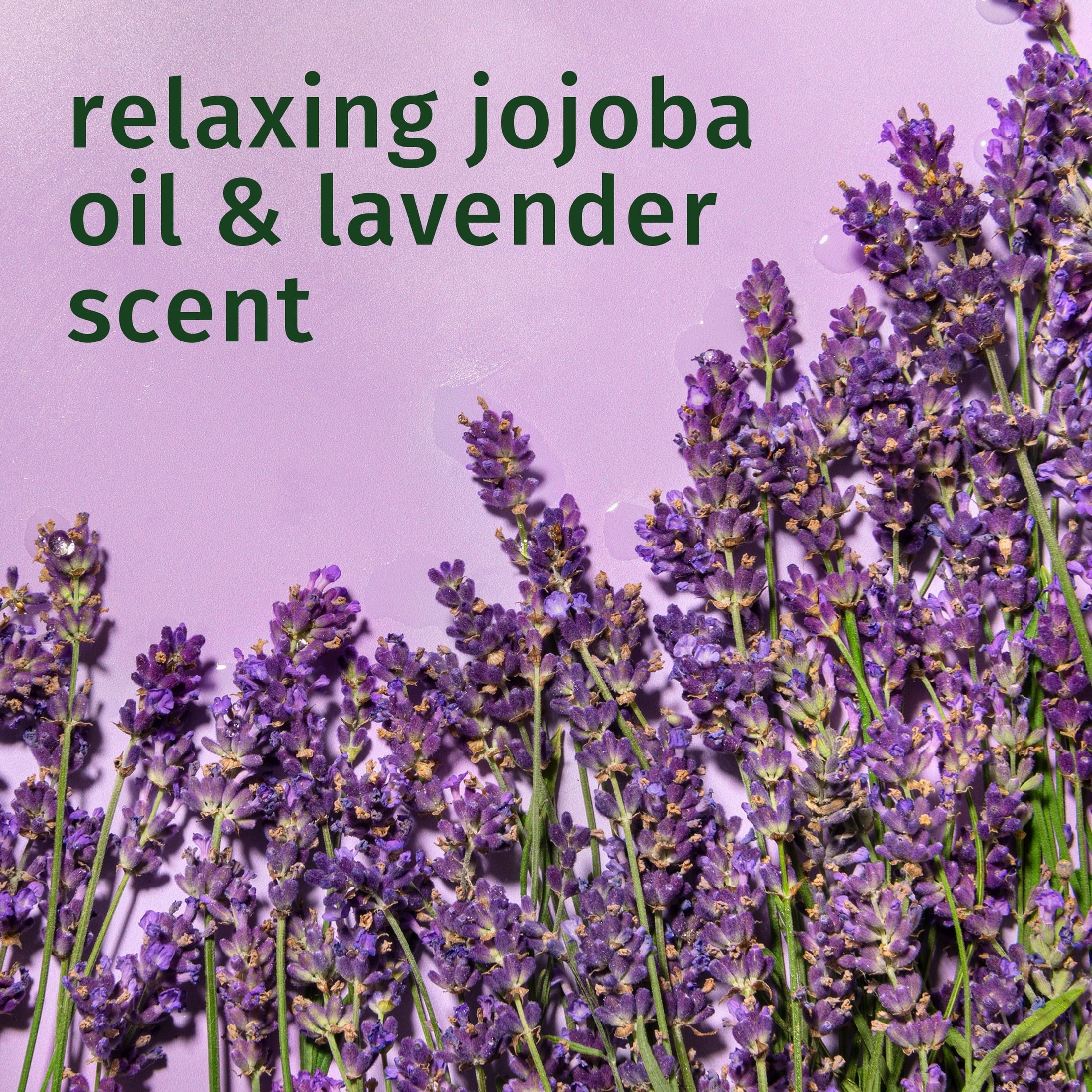 Jojoba Oil and Lavender Curls Shampoo, 33.8 fl oz