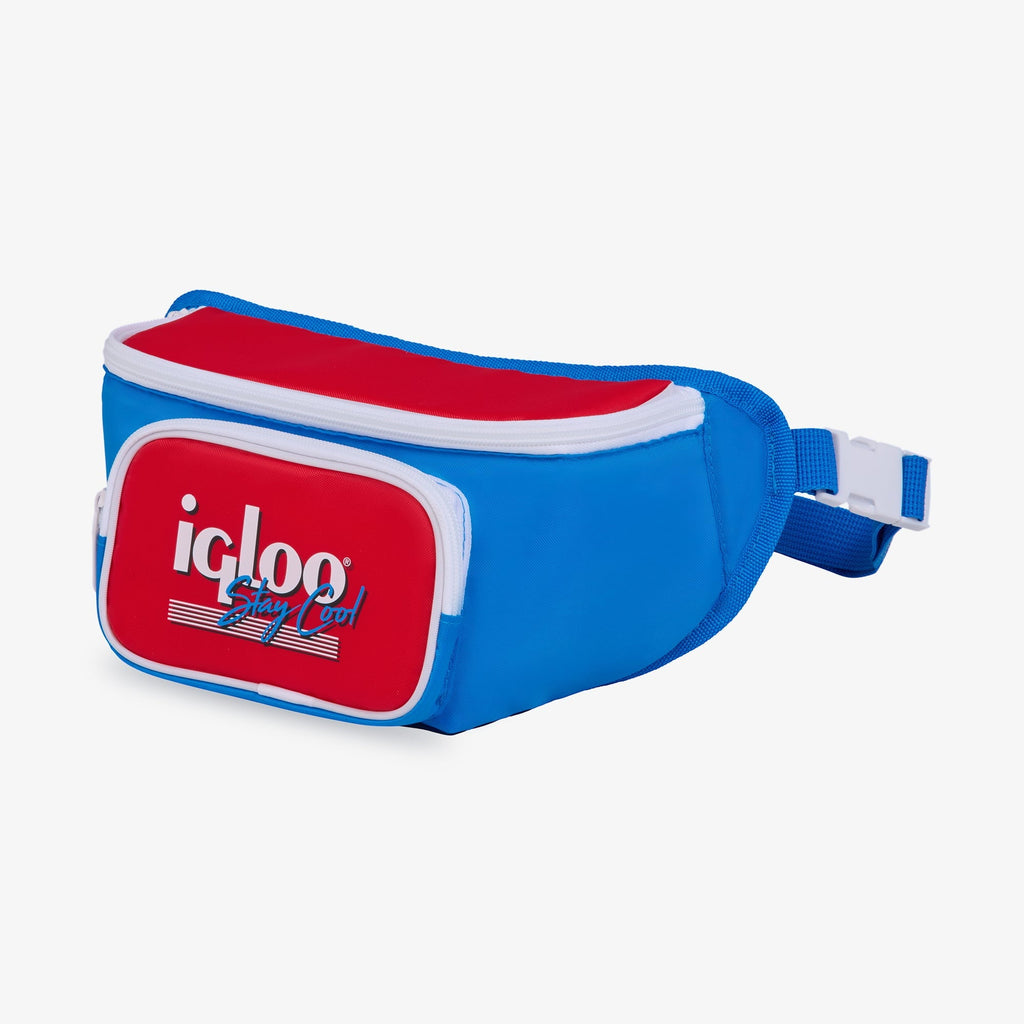 3 can Retro Fanny Pack Cooler Bag, Purple and Aqua Blue