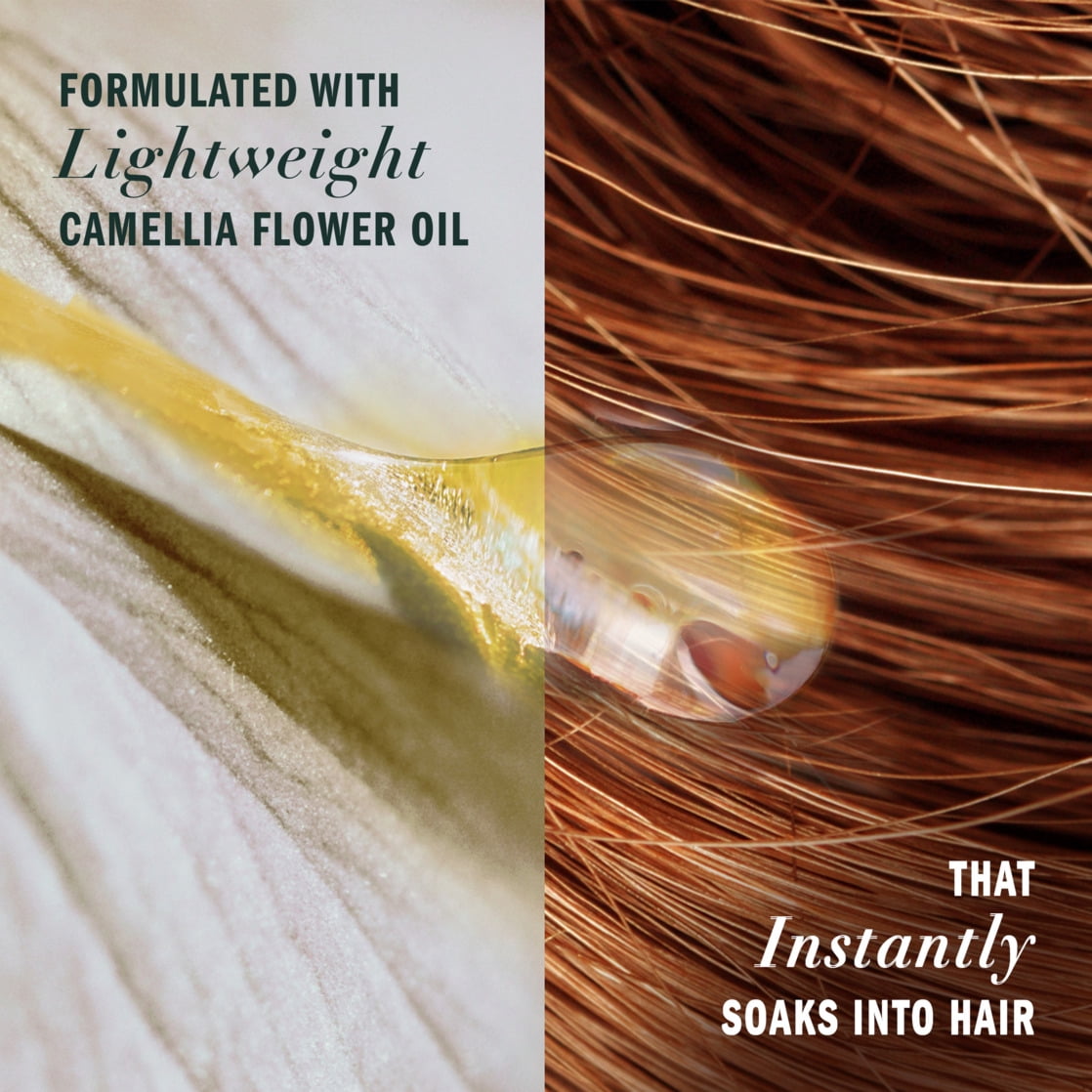 Leave in Conditioner, Aloe and Camellia Flower Oil, Certified Pure Plants, 7.6 fl oz