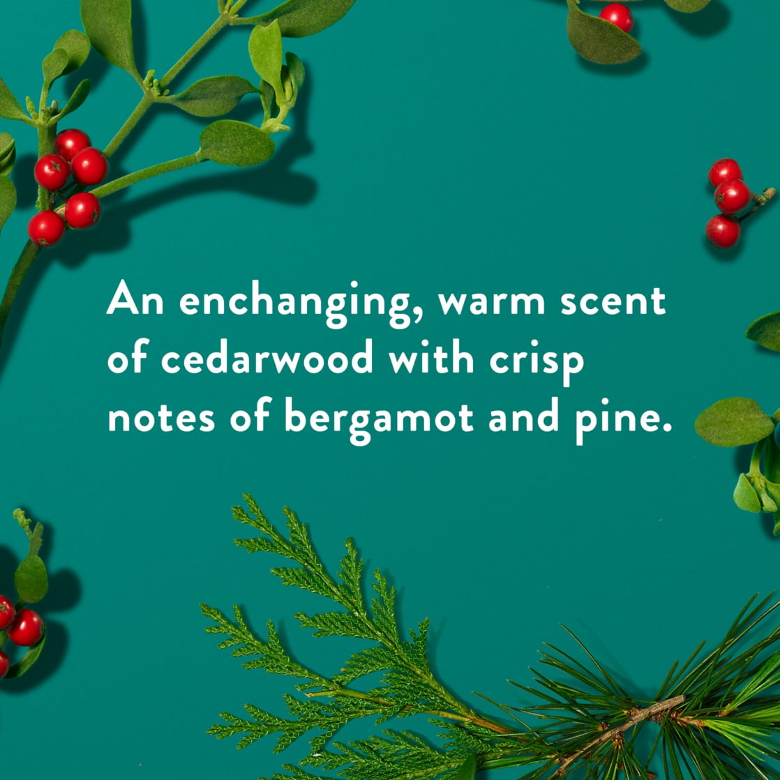 Limited Edition Fresh Mistletoe Mini Deodorant 0.35 oz