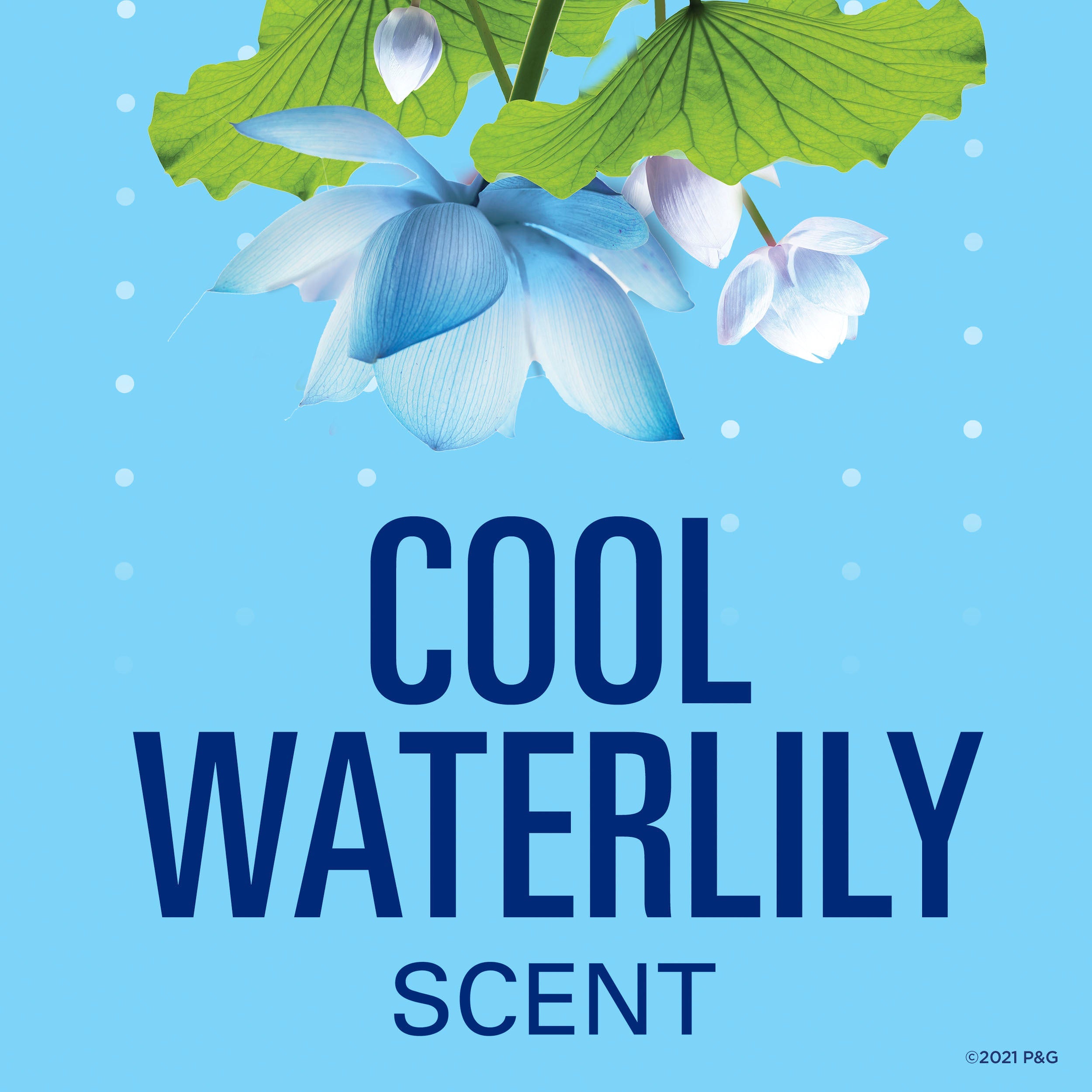 Clear Gel Antiperspirant and Deodorant for Women, Waterlily Scent, 2.6 oz
