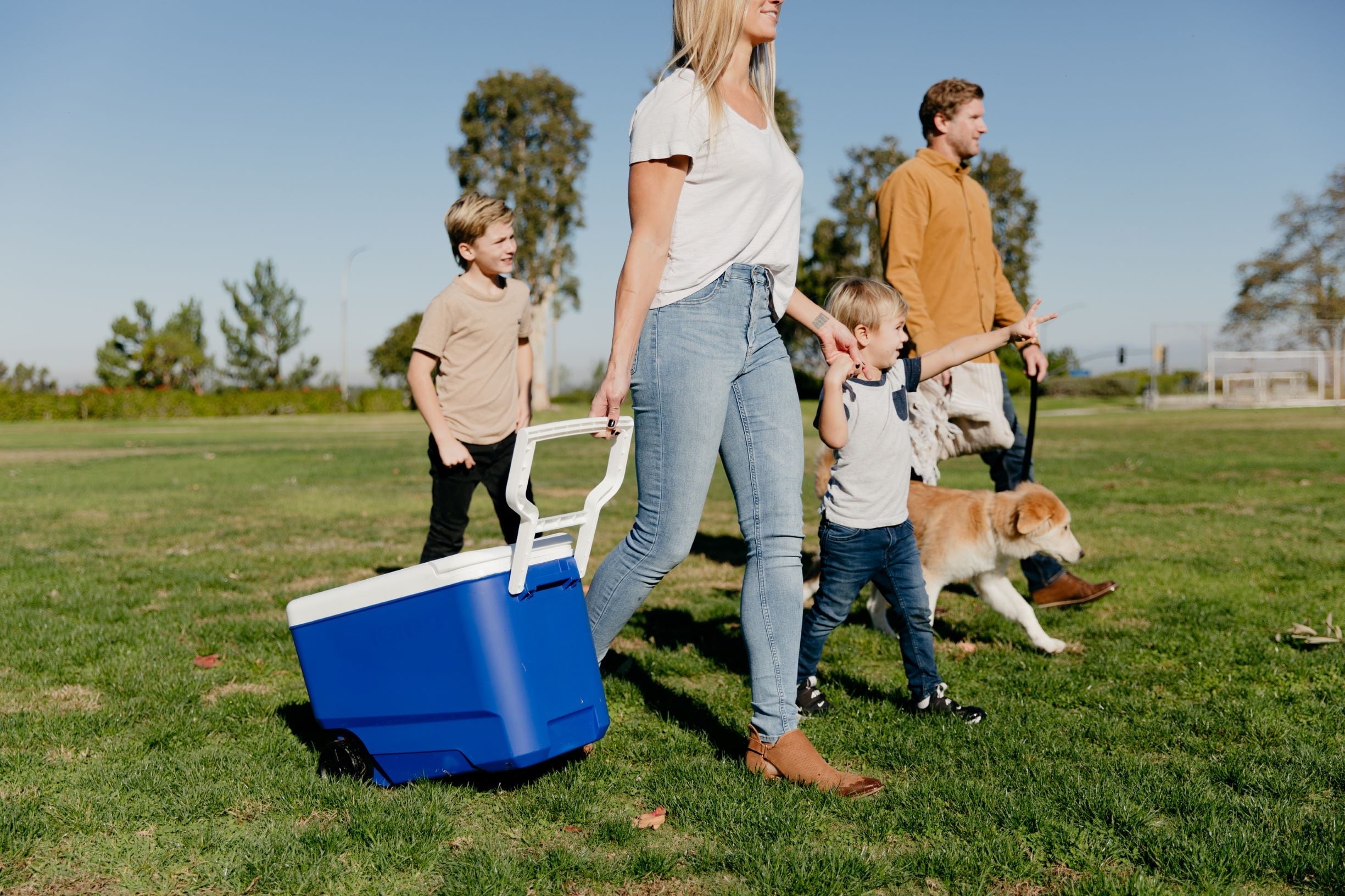 38 QT Wheelie Cool Hard Sided Cooler with Wheels, Blue