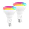 Bulb Color BR30 2-Pack