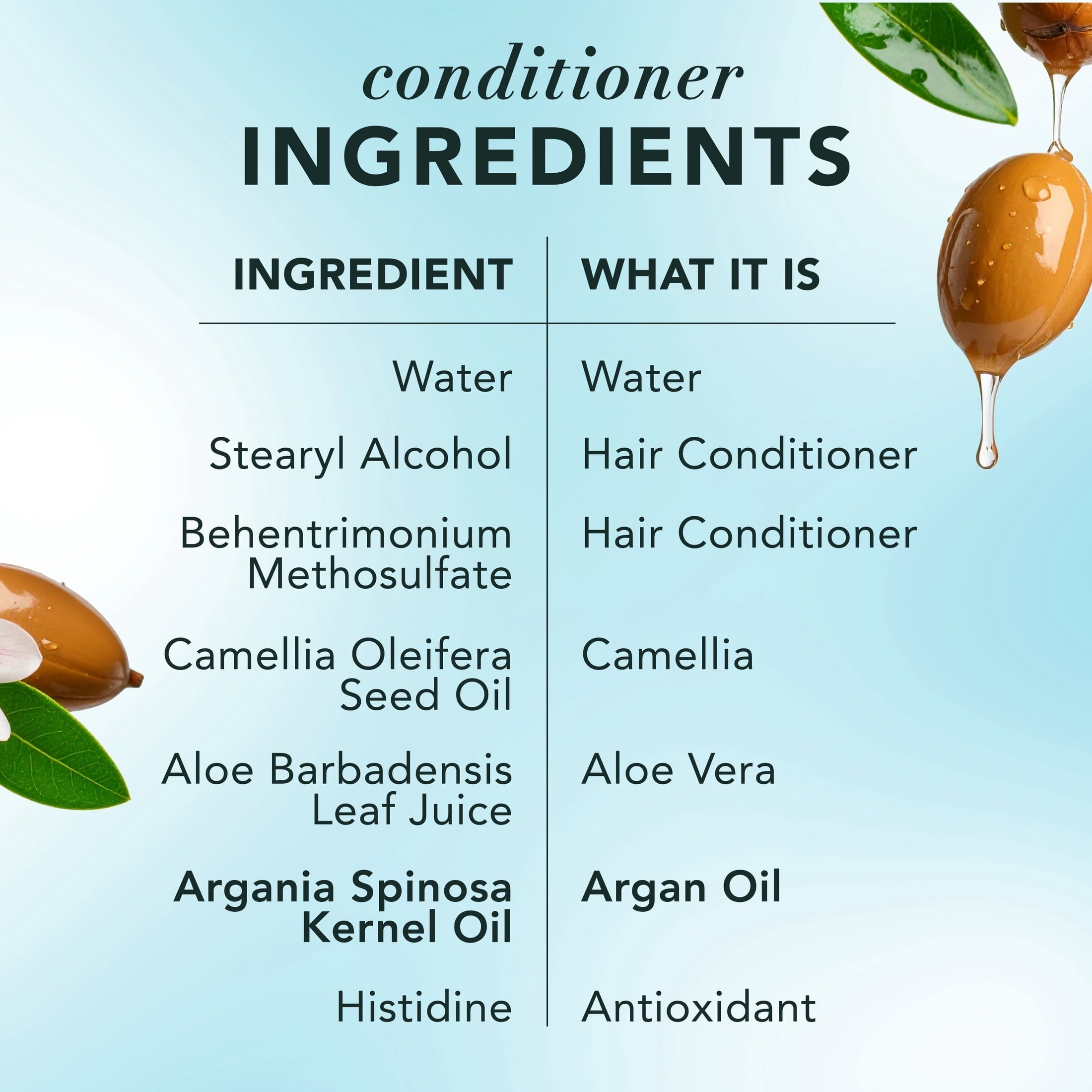 Argan Repair Shampoo and Conditioner, 13.5 fl oz Each