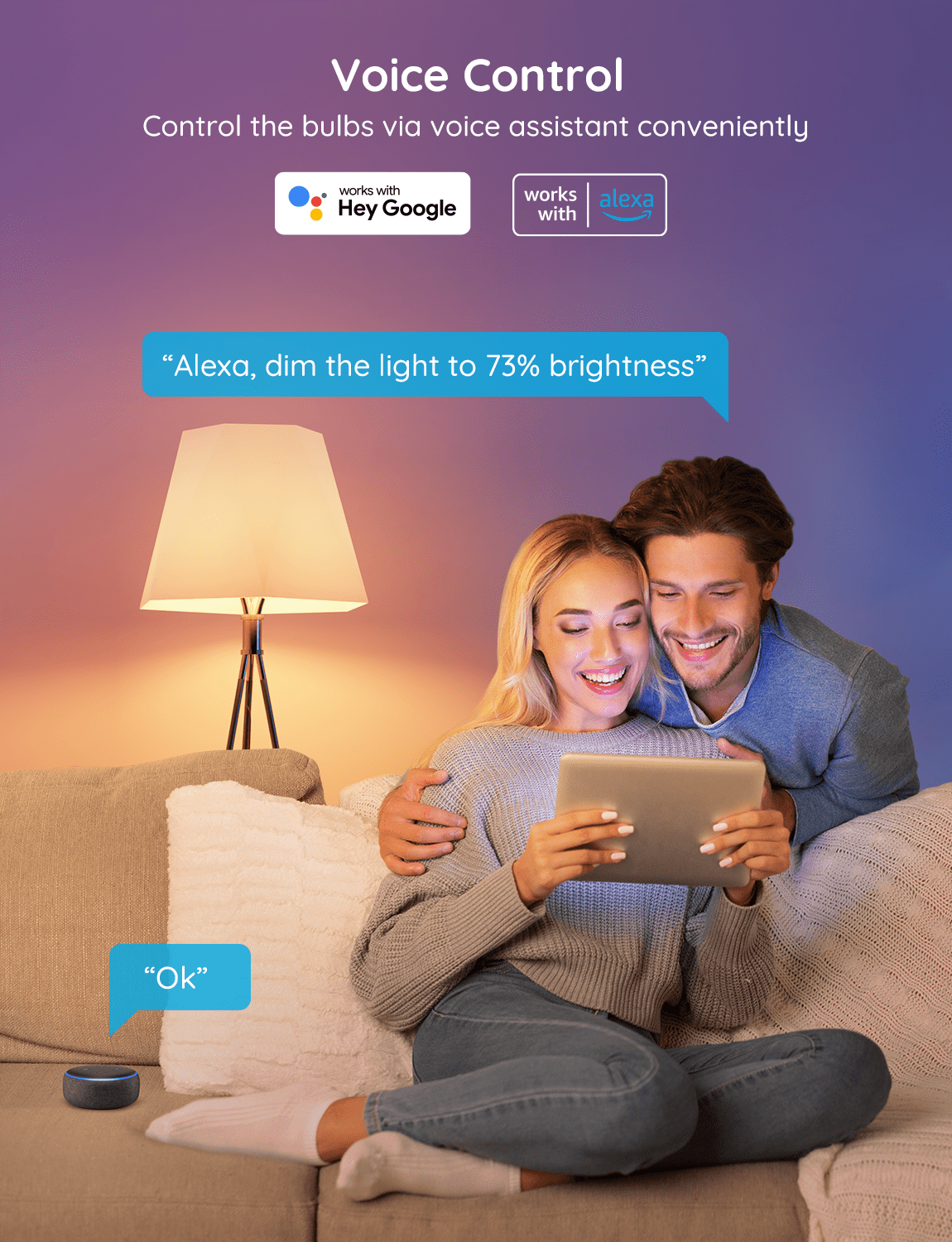 800LM White Light Smart Bulb,Support,Google Assiatant, Home App, 2 pack