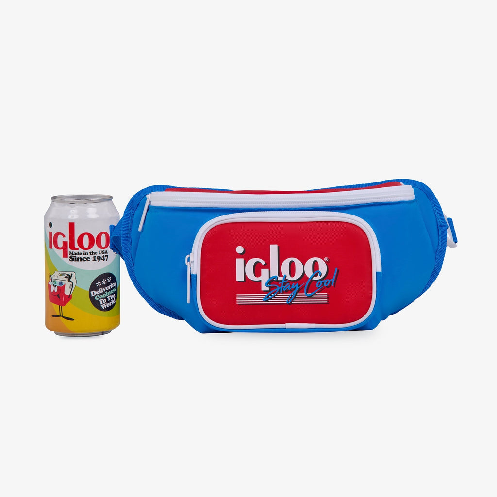 3 can Retro Fanny Pack Cooler Bag, Purple and Aqua Blue