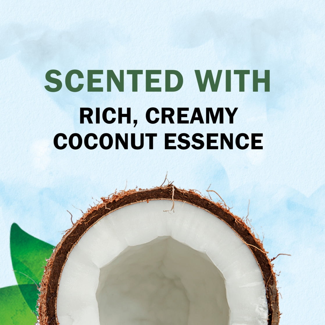 Herbal Hydration Deep Moisture Daily Shampoo with Coconut, 29.2 fl oz