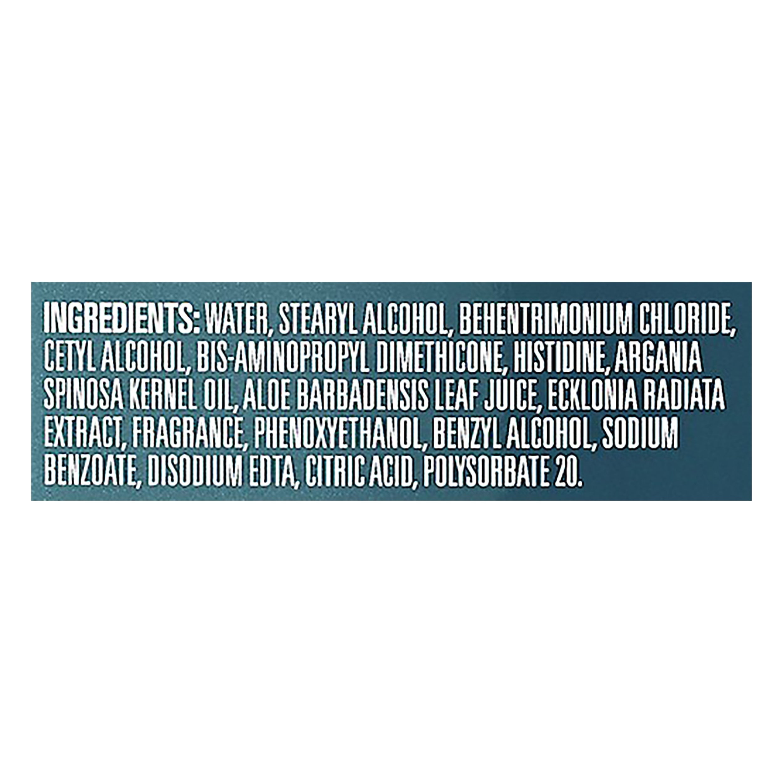 bio:renew Argan Oil and Aloe Sulfate-Free Conditioner 29.2 fl oz