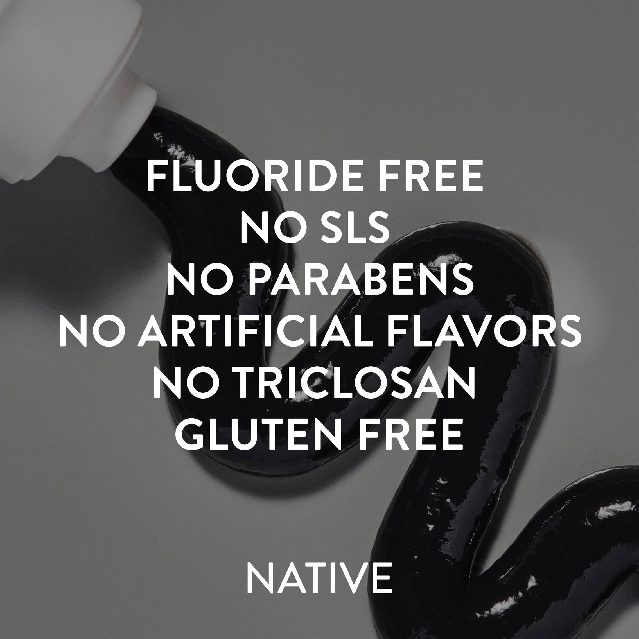 Fluoride Free Toothpaste, Charcoal & Mint Flavor, 4.1 oz, for Adults & Kids 2+
