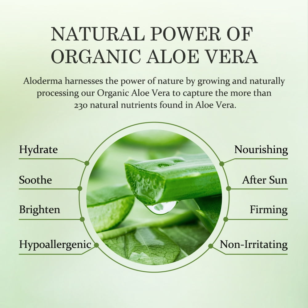 Age-Defying 24K Gold Leaf Aloe Flower Essence Gel, Made within 12 Hours of Harvest - Luxurious Aloe Gel with Allantoin & Hyaluronic Acid for a Glowing, Shimmering, Youthful Complexion, 7oz