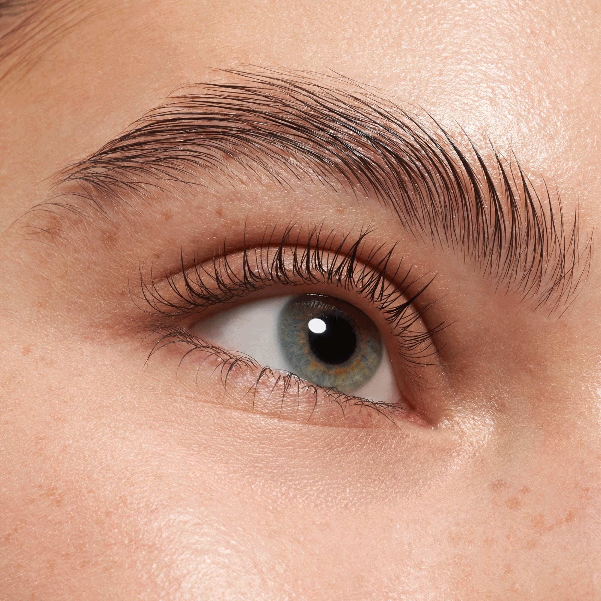 Lash & Brow Gel Mascara
