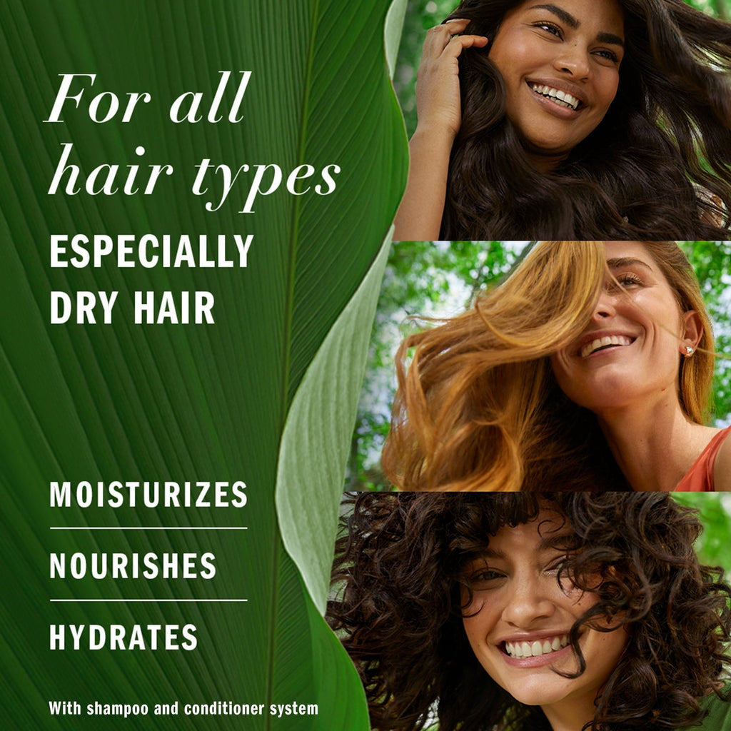 Bio Renew Hydrate Shampoo, Coconut Milk, 13.5 oz, 3 Pack