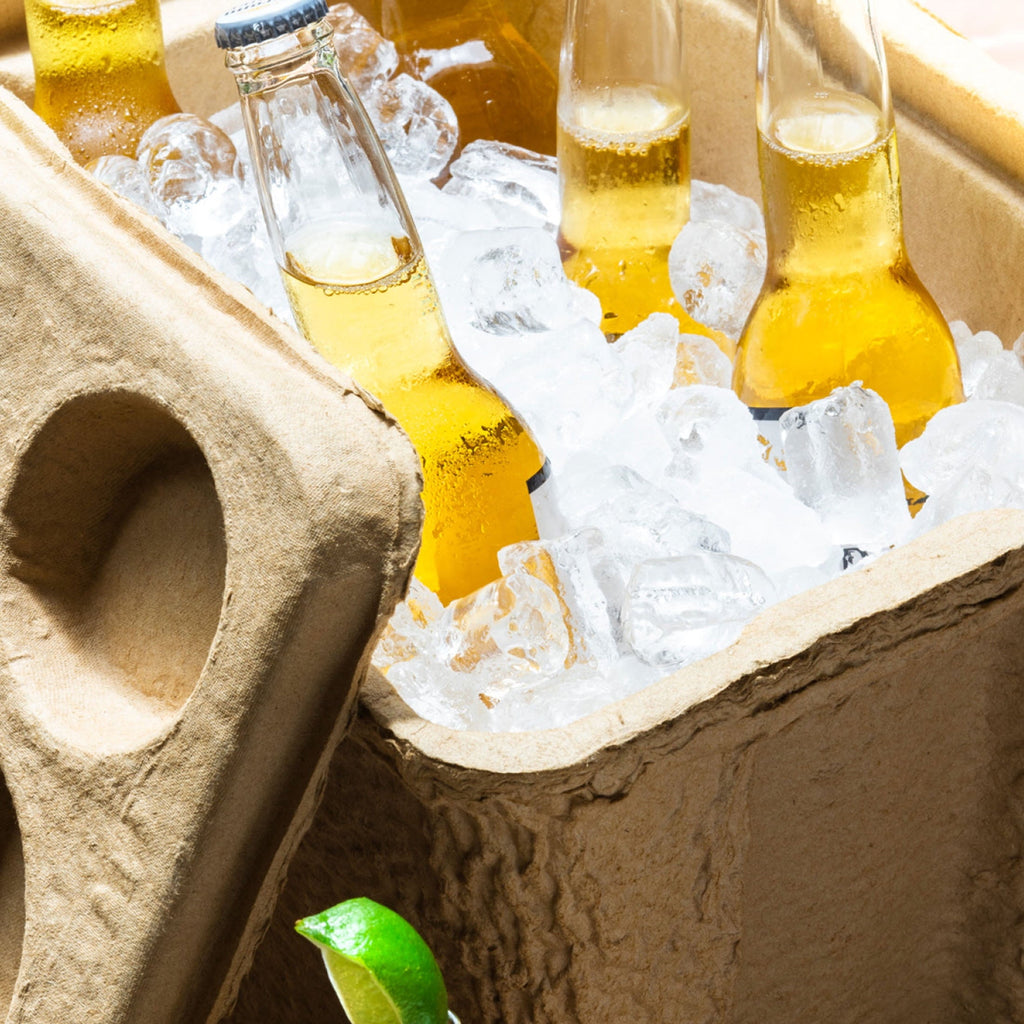 16 Qt. RECOOL Reusable Ice Chest Cooler
